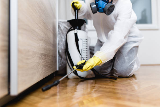 Best Emergency Pest Control  in Zachary, LA