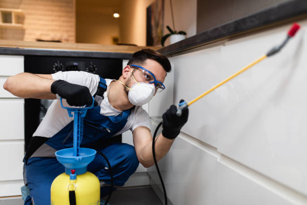 Trusted Zachary, LA Pest Control Experts