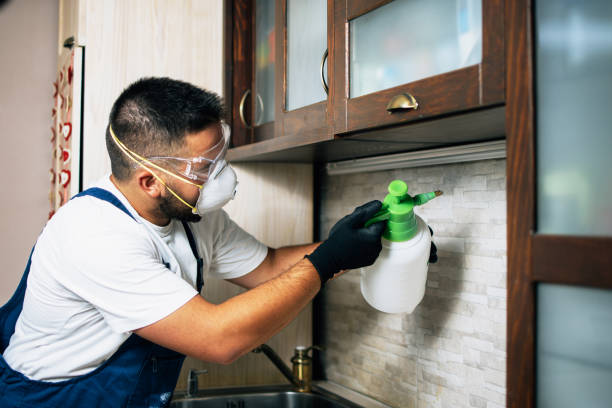 Best Affordable Pest Control Services  in Zachary, LA