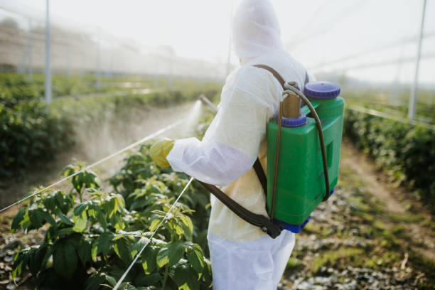 Best Pest Prevention Services  in Zachary, LA